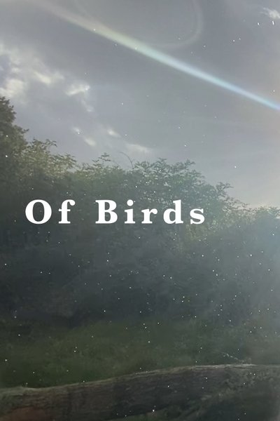Poster do Filme Of Birds