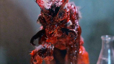 Görsel #222677