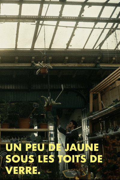 Un peu de jaune sous les toits de verre