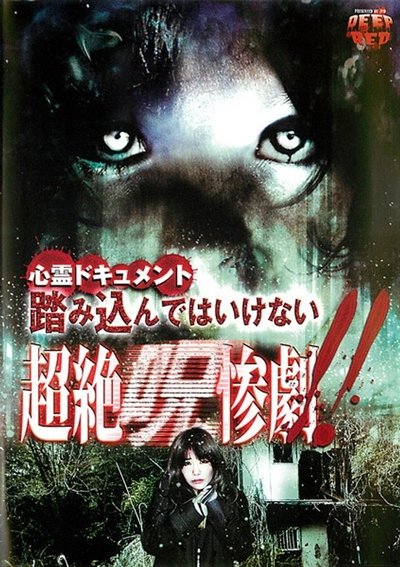 Poster do Filme 心霊ドキュメント 踏み込んではいけない 超絶呪惨劇！！