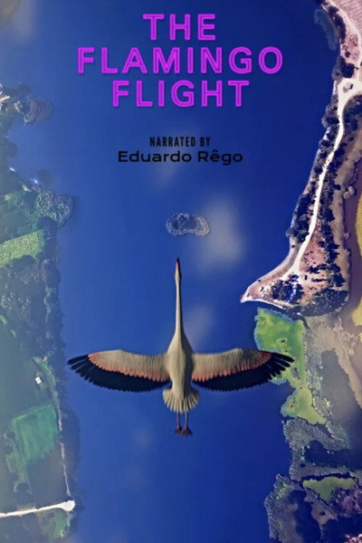 O Voo do Flamingo