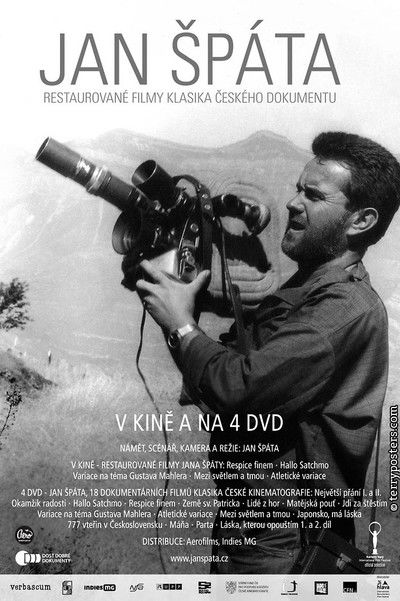 movie poster for Japonsko, má láska