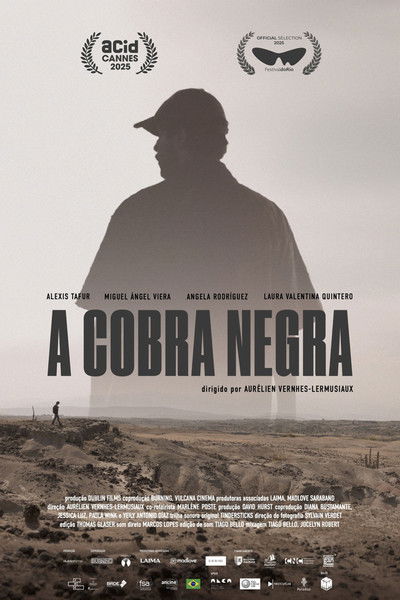 Poster do Filme La Couleuvre noire
