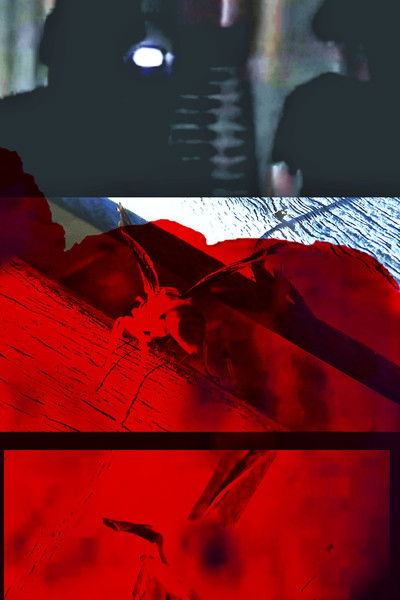 Poster do Filme Because I felt like it