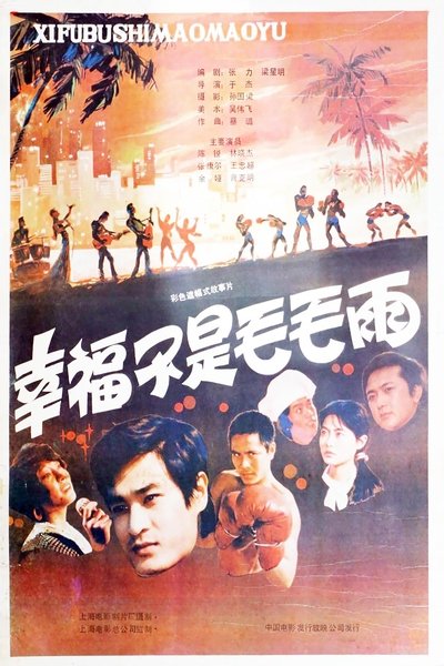 movie poster for 幸福不是毛毛雨