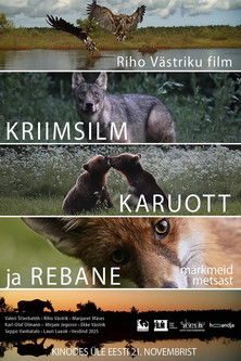 Poster do Filme Kriimsilm, karuott ja rebane. Märkmeid metsast