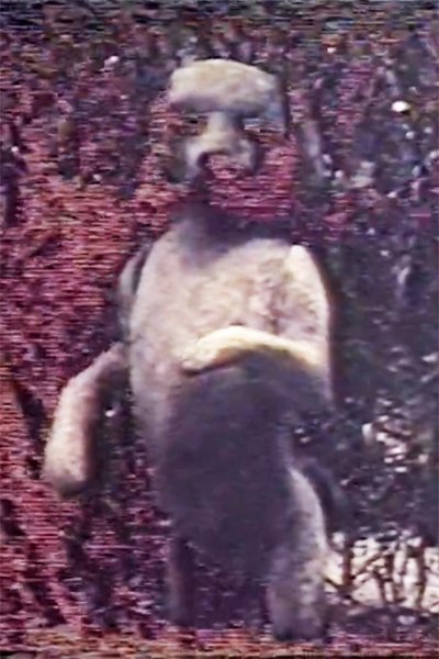 movie poster for Une Passagère