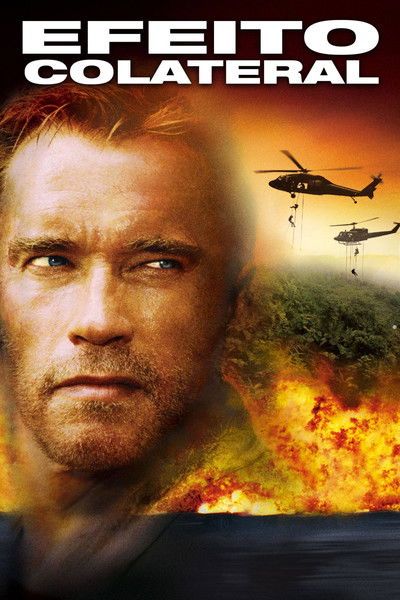 Poster do Filme Efeito Colateral