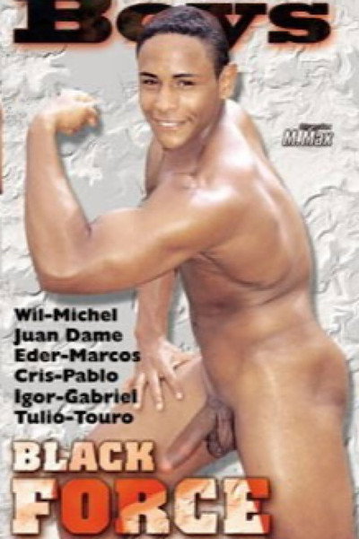 Poster do Filme Black Force