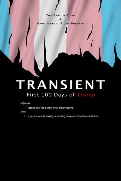 Poster do Filme Transient