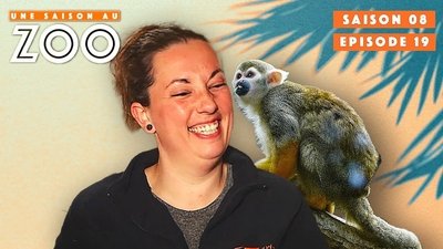 Episode 19