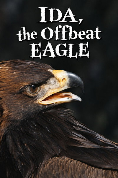 Ida, the Offbeat Eagle