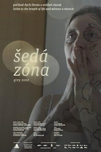 Poster do Filme Šedá zóna