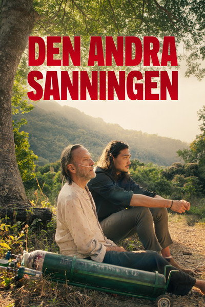 Den andra sanningen