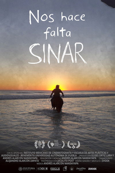 Poster do Filme Nos hace falta Sinar