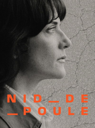 Potholes - Are our roads a public hazard?