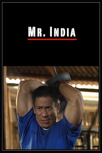 movie poster for Mr. India