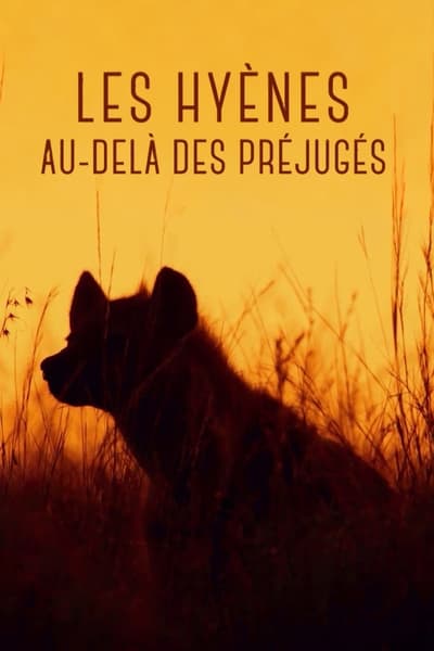 poster Les hyènes - Au-delà des préjugés