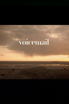 Poster do Filme Voicemail