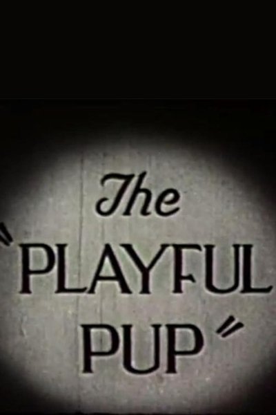 movie poster for The Playful Pup