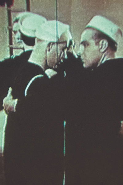 Poster do Filme Amnesia