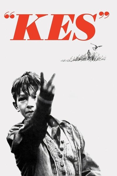 Poster for the movie Kes