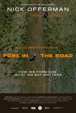 Poster do Filme Fork in the Road