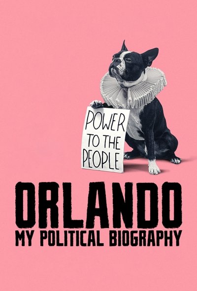 Poster for the movie Orlando, My Political Biography