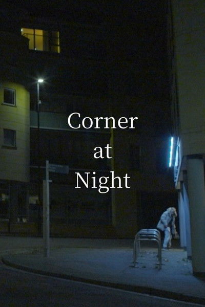 Poster do Filme Corner at Night