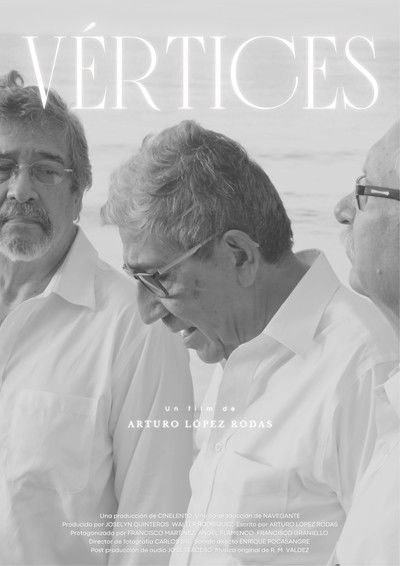 Poster do Filme Vértices