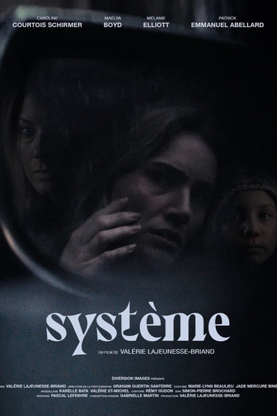 Poster do Filme Système