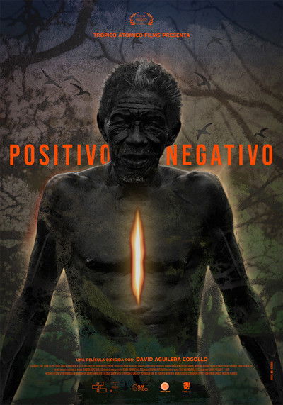 Poster do Filme Positivo Negativo