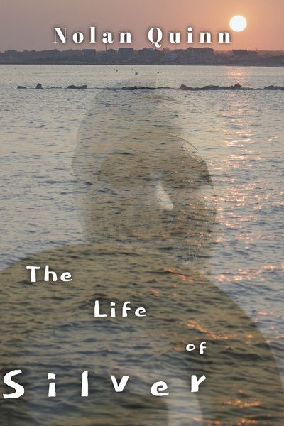 Poster do Filme The Life of Silver