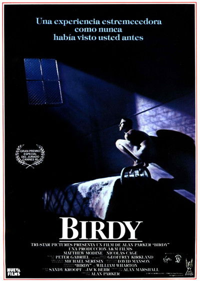 Birdy