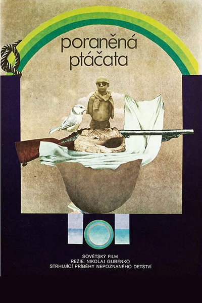 Poraněná ptáčata