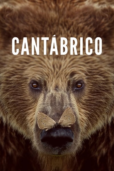 Poster for the movie Cantábrico