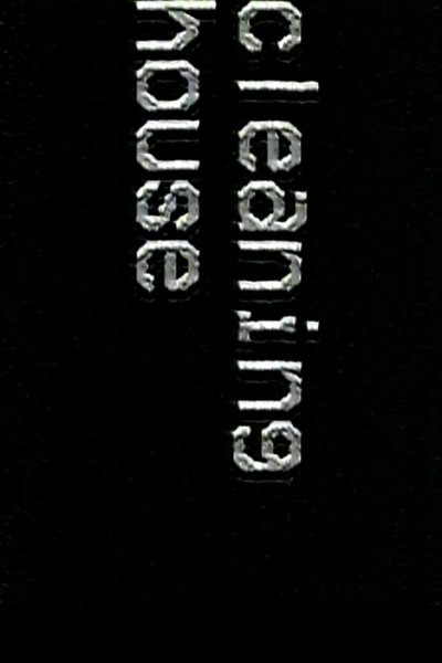 Poster do Filme Cleaning House