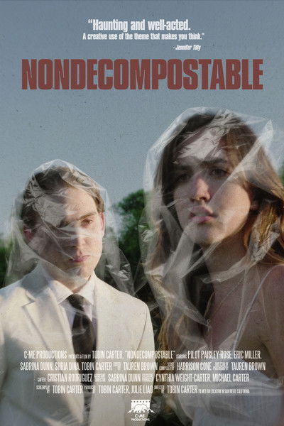 Poster do Filme Nondecomposable
