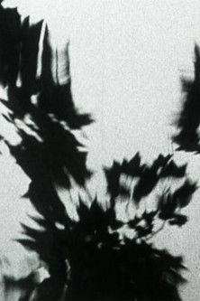 Poster do Filme Sheller Shares Her Secret