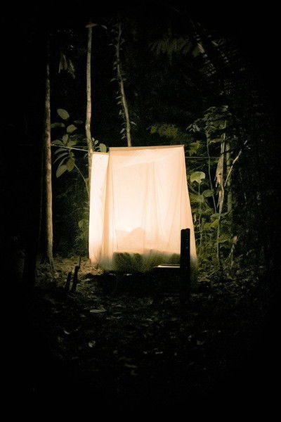 Poster do Filme Morpho