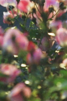 Poster do Filme From March to June