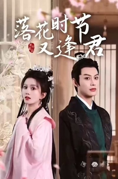 poster for 落花时节又逢君