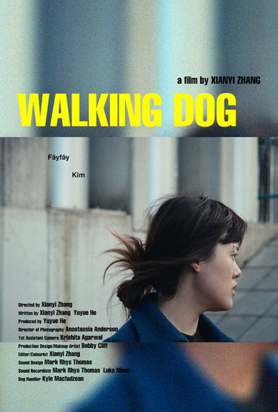 Poster do Filme Walking Dog