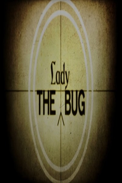 Poster do Filme The Lady Bug