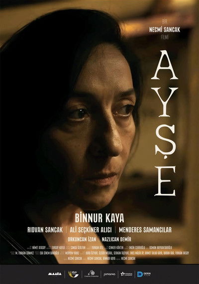 Poster do Filme Ayşe