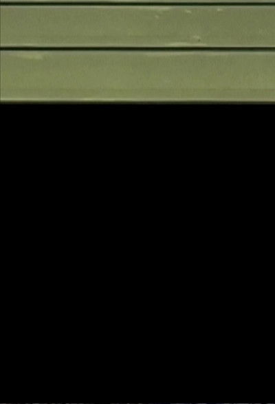 Poster do Filme nach den Bildern . FEININGERs Trio