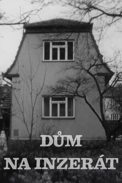 movie poster for Dům na inzerát