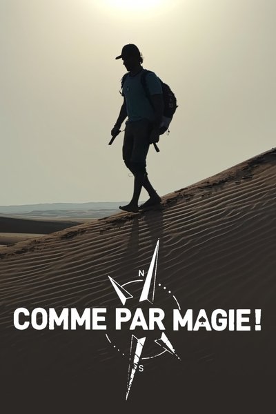 Poster do Filme Comme par magie