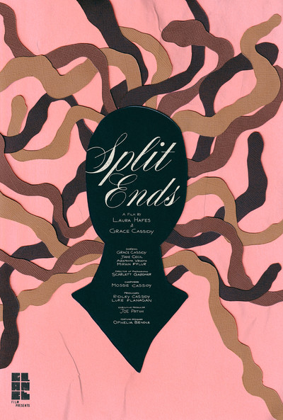 Poster do Filme Split Ends