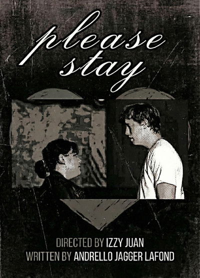 Poster do Filme Please Stay